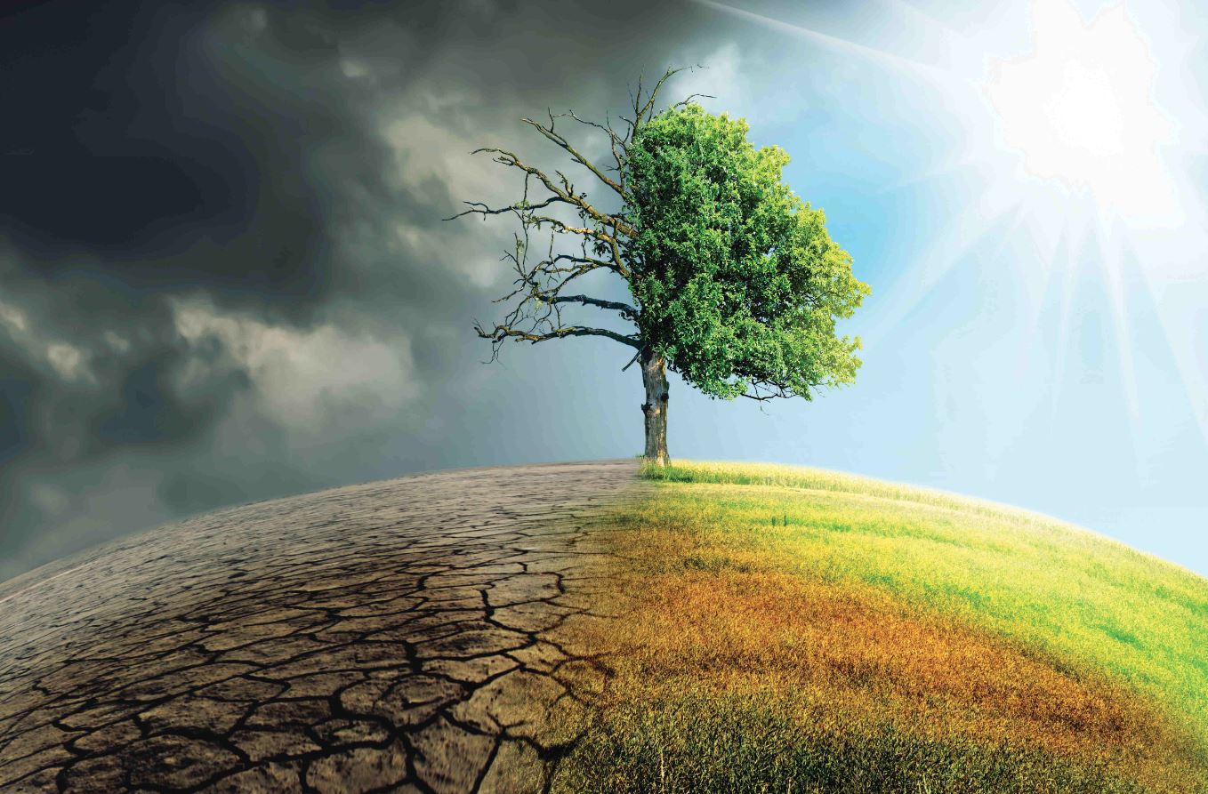 Climate image placeholder